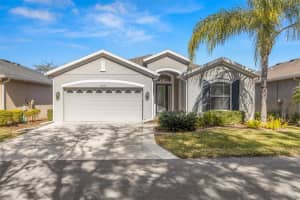 29149 COCHITI LAKE DRIVE, SAN ANTONIO, FL 33576 Sold 05/14/25