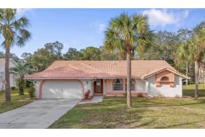 11097 GOLDEN EAGLE AVENUE, WEEKI WACHEE, FL 34613 Sold 03/14/25