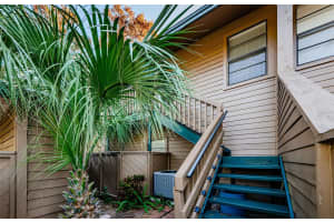 204 LENNOX ROAD, PALM HARBOR, FL 34683 - MLS#MFRTB8340823