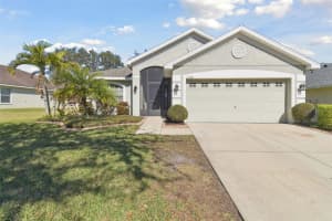 11140 IRISH MOSS AVENUE, RIVERVIEW, FL 33569 Sold 03/10/25