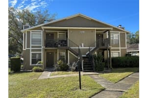 4208 Winding Moss Trl #102, TAMPA