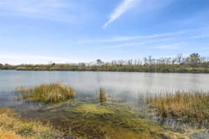18442 NEW LONDON AVENUE, LAND O LAKES, FL 34638 Sold 05/05/25