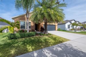 11810 WINTERSET COVE DRIVE, RIVERVIEW, FL 33579 Sold 04/30/25