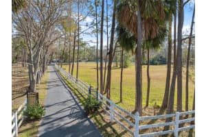 525 APPALOOSA ROAD, TARPON SPRINGS, FL 34688 Sold 03/27/25