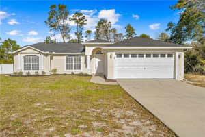 6119 FREEPORT DRIVE, SPRING HILL, FL 34606 Sold 03/03/25