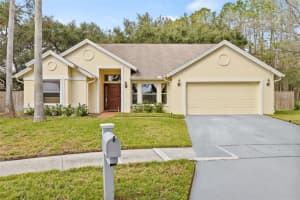 16104 STOWE COURT, TAMPA, FL 33647 Sold 02/25/25