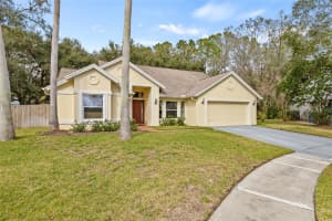 16104 STOWE COURT, TAMPA, FL 33647 Sold 02/25/25
