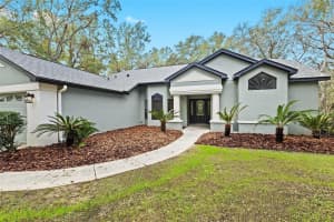 4540 OAKFIELD CIRCLE, DADE CITY, FL 33523 Sold 03/21/25