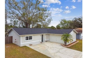 4920 STEEL DUST LANE, LUTZ, FL 33559 Sold 05/28/25
