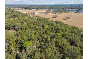 MCKETHAN RD, DADE CITY, FL 33523 - MLS#MFRTB8341280