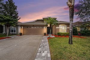 3850 OLDE LANARK DRIVE, LAND O LAKES, FL 34638 Sold 03/28/25