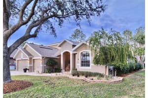 16754 IVY LAKE DRIVE, ODESSA, FL 33556 Sold 03/13/25