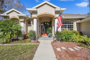 12031 SAPPHIRE DRIVE, SPRING HILL, FL 34609 Sold 03/20/25