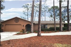 3430 TARPON WOODS BOULEVARD, PALM HARBOR, FL 34685 Sold 02/21/25