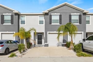 34395 Sorrel Mint Dr, WESLEY CHAPEL