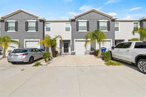 34395 SORREL MINT DRIVE, WESLEY CHAPEL, FL 33543 - MLS#MFRTB8341406