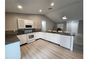 1412 COLUMBIA AVENUE, PALM HARBOR, FL 34683 Sold 03/18/25