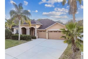 9232 BRINDLEWOOD DRIVE, ODESSA, FL 33556 Sold 03/14/25