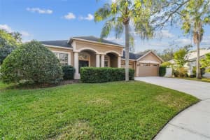 9232 BRINDLEWOOD DRIVE, ODESSA, FL 33556 Sold 03/14/25
