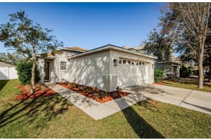 9607 MAXSON DRIVE, LAND O LAKES, FL 34638 Sold 02/28/25