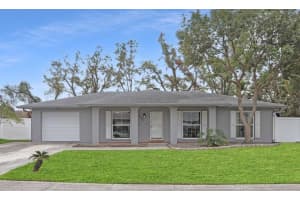 6543 SPANISH MOSS CIRCLE, TAMPA, FL 33625 Sold 03/04/25