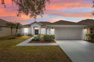 19145 CHERRY ROSE CIRCLE, LUTZ, FL 33558 Sold 03/11/25