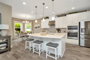 29762 CHAPEL CHASE DRIVE, WESLEY CHAPEL, FL 33545 Sold 05/09/25