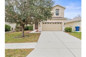 17608 GLENAPP DRIVE, LAND O LAKES, FL 34638 Sold 04/11/25