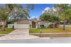 3005 Enisglen Dr, PALM HARBOR
