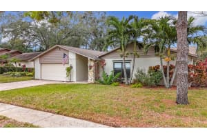 3005 ENISGLEN DRIVE, PALM HARBOR, FL 34683 - MLS#MFRTB8341984