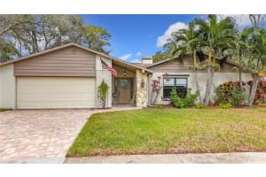 3005 ENISGLEN DRIVE, PALM HARBOR, FL 34683 - MLS#MFRTB8341984