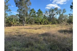 13182 MANDALAY DRIVE, PUNTA GORDA, FL 33955 - MLS#MFRTB8342004