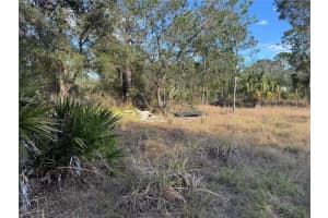 13182 MANDALAY DRIVE, PUNTA GORDA, FL 33955 - MLS#MFRTB8342004