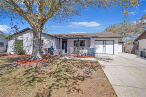 8243 VASSAR CIRCLE, TAMPA, FL 33634 Sold 06/05/25