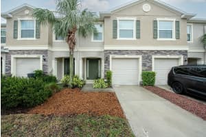 10415 BUTTERFLY WING COURT, RIVERVIEW, FL 33578 Sold 03/07/25