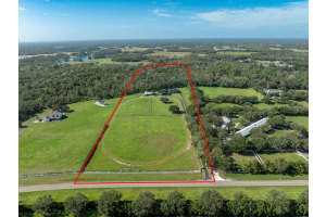 17120 BOY SCOUT ROAD, ODESSA, FL 33556 Sold 04/02/25