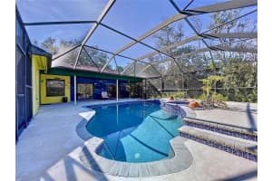 1334 WINDSOR WAY, LUTZ, FL 33559 Sold 04/01/25
