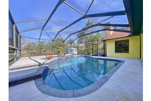 1334 WINDSOR WAY, LUTZ, FL 33559 Sold 04/01/25