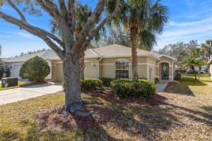 10833 COLLAR DRIVE, SAN ANTONIO, FL 33576 - MLS#MFRTB8342206