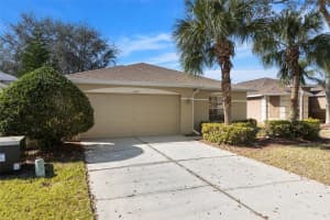 10833 COLLAR DRIVE, SAN ANTONIO, FL 33576 - MLS#MFRTB8342206