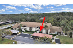 2866 COUNTRYBROOK DRIVE, PALM HARBOR, FL 34684 - MLS#MFRTB8342299