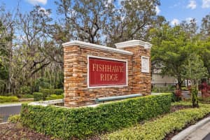 5860 FISHHAWK RIDGE DRIVE, LITHIA, FL 33547 Sold 03/17/25
