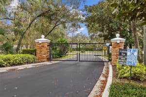 5860 FISHHAWK RIDGE DRIVE, LITHIA, FL 33547 Sold 03/17/25