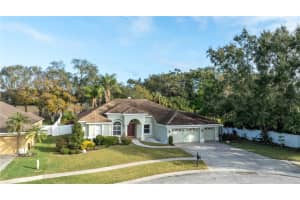 2801 NORWOOD HILLS LANE, VALRICO, FL 33596 Sold 04/18/25