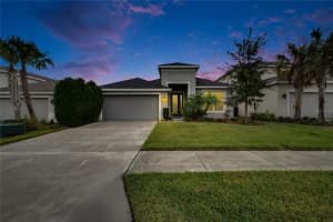 7102 WESLEY PALM WAY, WESLEY CHAPEL, FL 33545 Sold 05/07/25