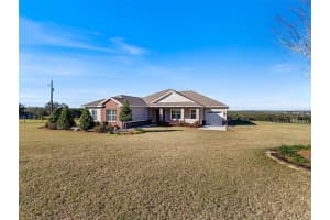 36511 FRAZEE HILL ROAD, DADE CITY, FL 33523 - MLS#MFRTB8342507