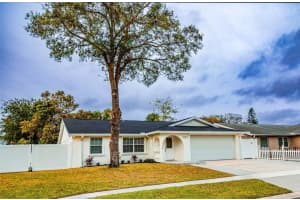 7097 ABERFELDY AVENUE, ST PETERSBURG, FL 33709 Sold 03/04/25