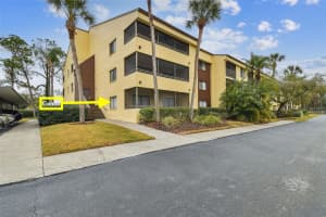 13602 VILLAGE DRIVE, TAMPA, FL 33618 Sold 05/05/25