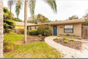 10405 N Woodmere Rd, TAMPA