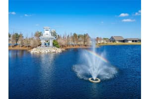 20292 SEA GLASS CIRCLE, LAND O LAKES, FL 34638 Sold 02/27/25